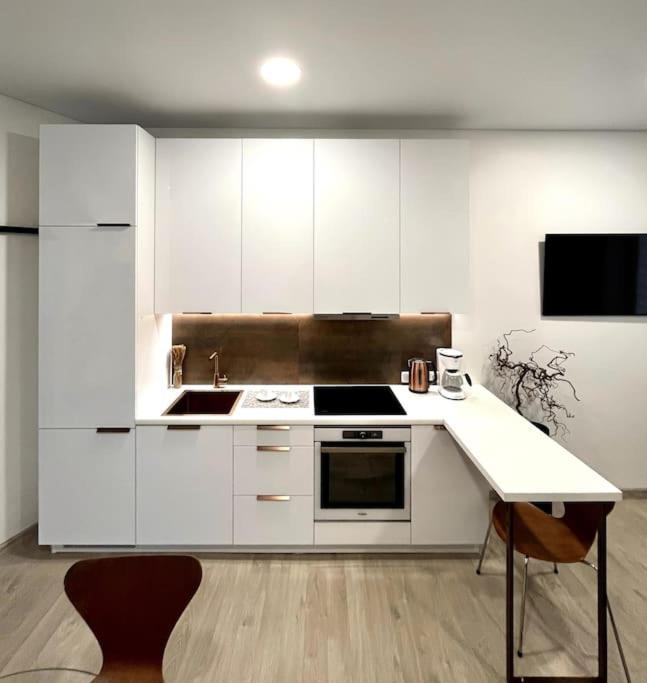 Kaunas Old Town Apartment מראה חיצוני תמונה